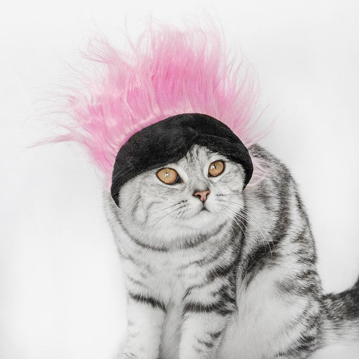 New pet wig headgear cat funny wig cat eye mask hat pet dog party hat