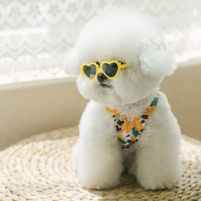 Creative lace love pet dog cat sunglasses sunglasses