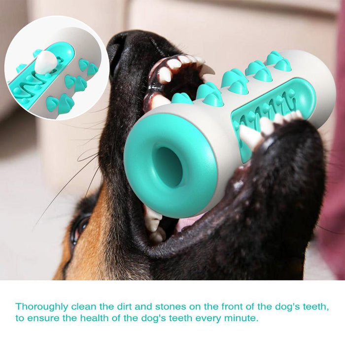 Pet dog chew toy molar toothbrush dog toy