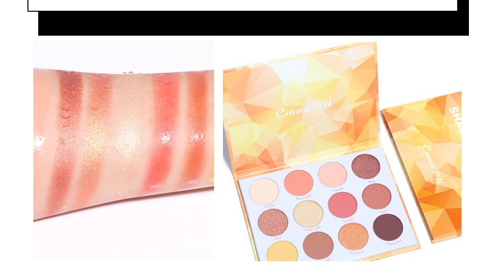 12 colour Eyeshadow disc matte metal flash