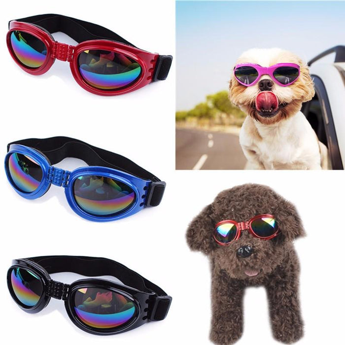 6 Colors Dog Glasses Glasses Outdoor Windproof Eye Protection