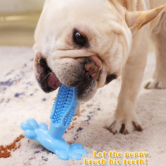 Brand New Rubber Hole Dog Toy Dog Toothbrush Toy Dog Accessories