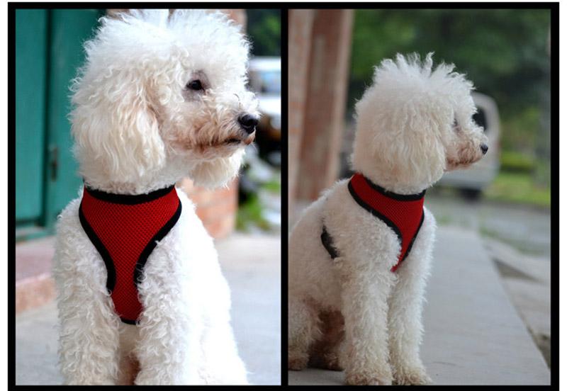 Nylon Dog Leash Breathable Mesh Dog Leash Vest