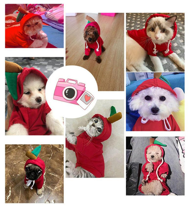 Warm Dog Winter Clothes Cute Fruit Dog Coat Hoodie