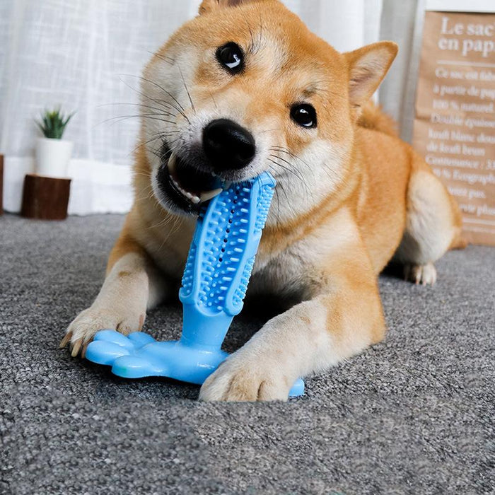 Brand New Rubber Hole Dog Toy Dog Toothbrush Toy Dog Accessories