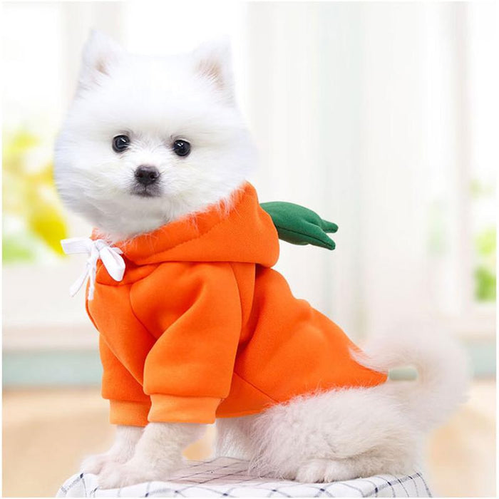 Warm Dog Winter Clothes Cute Fruit Dog Coat Hoodie