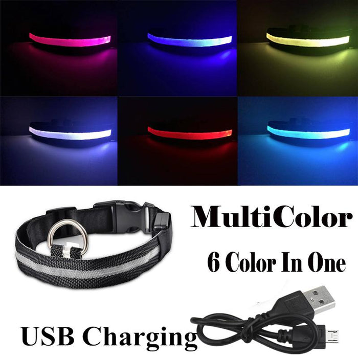 Pet Dog LED USB Rechargeable Collar