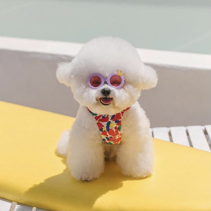 Creative Pet Dog Cat Cute Sunglasses Accessories