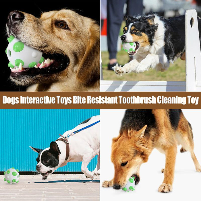 Dog Interactive Toys Anti-Bite Toothbrush Cleaning Toys