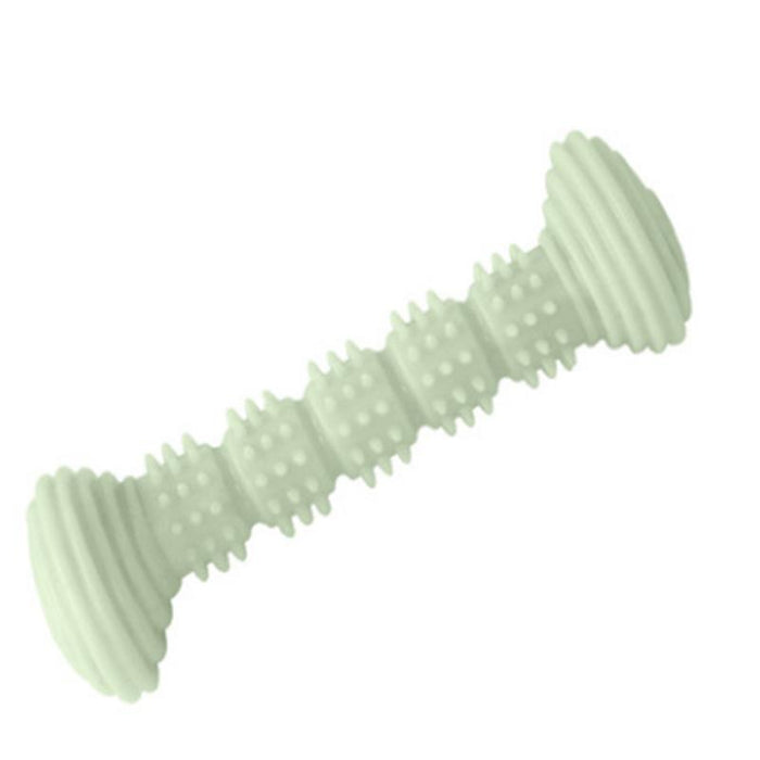 Pet Teething Toy TPR Dog Accessories for Puppy Chew