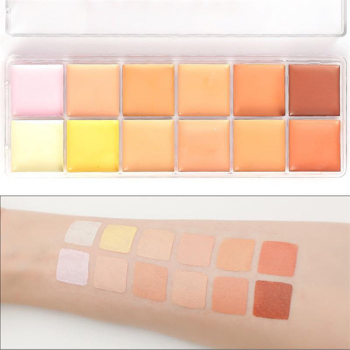 12 colour concealer, lasting nude make-up to cover pox and ink.