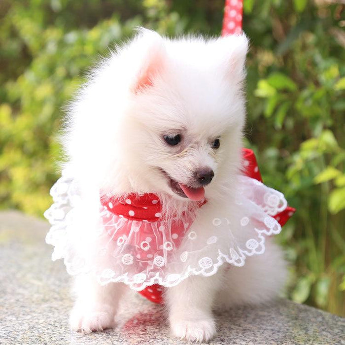 Cute Bow-knot Small Dog Harness Vest Leash Suit Pet Accessories