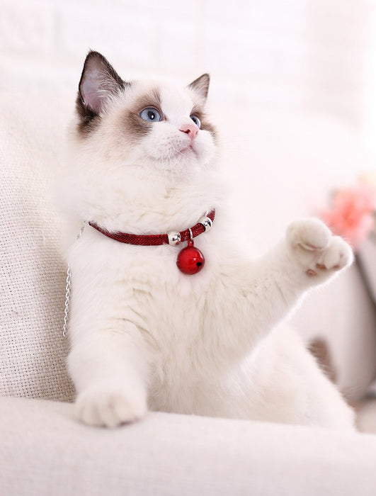 Cat Bell Collar Toy Adjustable Kitten Safety Necklace Popular Style