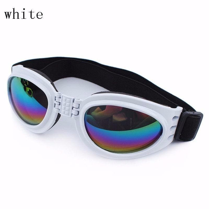 6 Colors Dog Glasses Glasses Outdoor Windproof Eye Protection