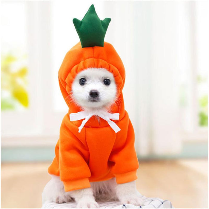 Warm Dog Winter Clothes Cute Fruit Dog Coat Hoodie