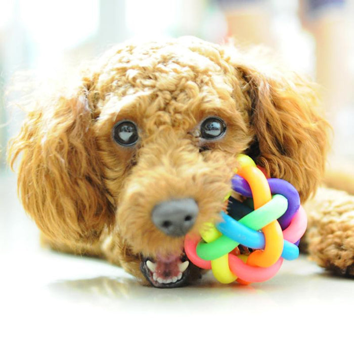 Large diameter about 9.5cm colorful rainbow pet kring ball dog toy