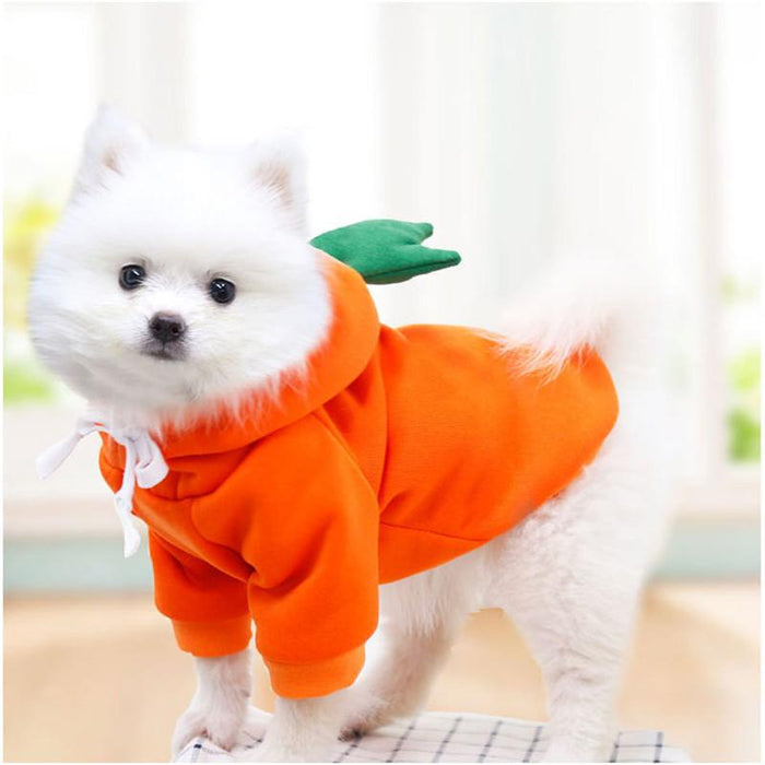 Warm Dog Winter Clothes Cute Fruit Dog Coat Hoodie