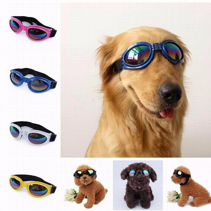 6 Colors Dog Glasses Glasses Outdoor Windproof Eye Protection