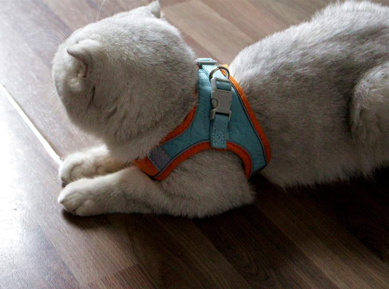 Pet Vest Vest Reflective Dog Neck Strap Collar Adjustable