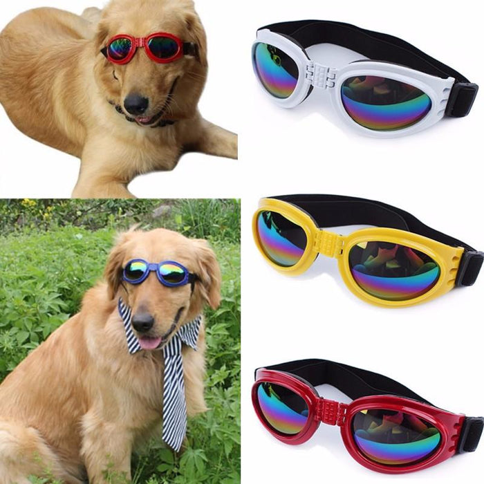 6 Colors Dog Glasses Glasses Outdoor Windproof Eye Protection