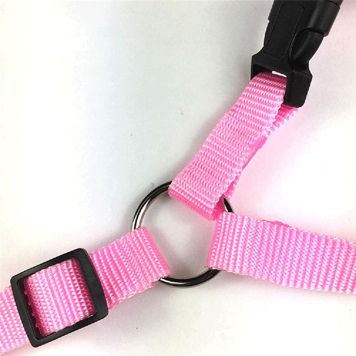 Cat and Dog Safety Adjustable Car Seat Belt