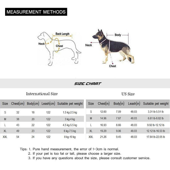 Cute Bow-knot Small Dog Harness Vest Leash Suit Pet Accessories