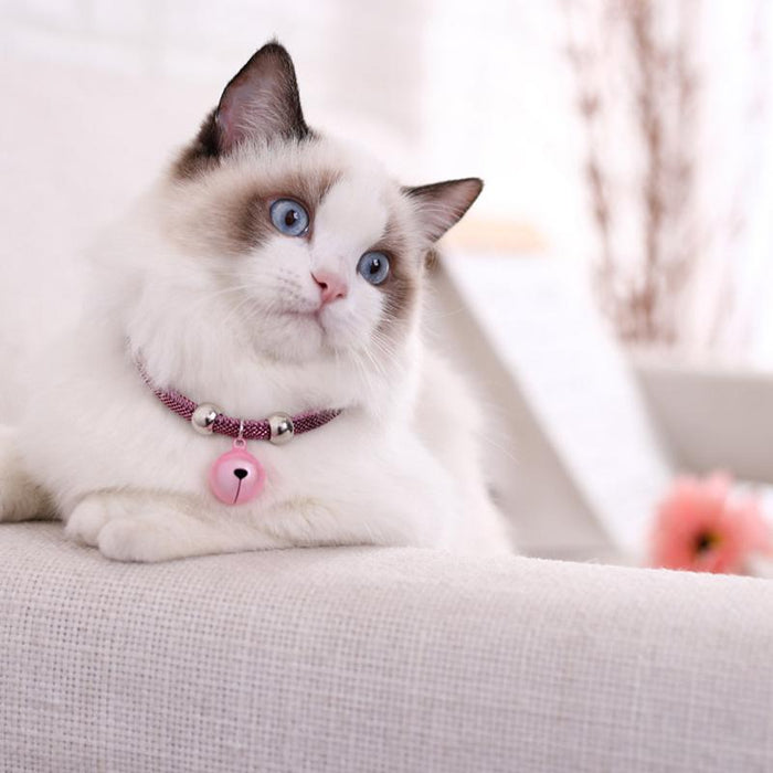 Cat Bell Collar Toy Adjustable Kitten Safety Necklace Popular Style