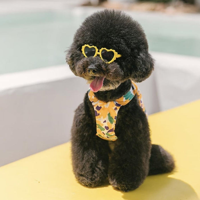 Creative lace love pet dog cat sunglasses sunglasses