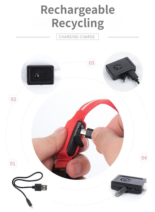 Pet Dog LED USB Rechargeable Collar