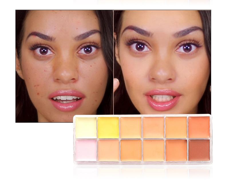 12 colour concealer, lasting nude make-up to cover pox and ink.