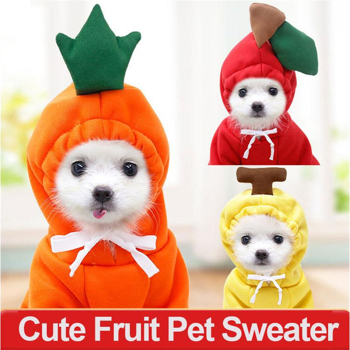 Warm Dog Winter Clothes Cute Fruit Dog Coat Hoodie