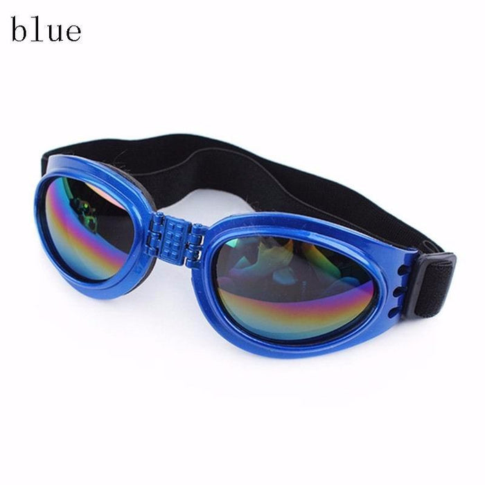 6 Colors Dog Glasses Glasses Outdoor Windproof Eye Protection
