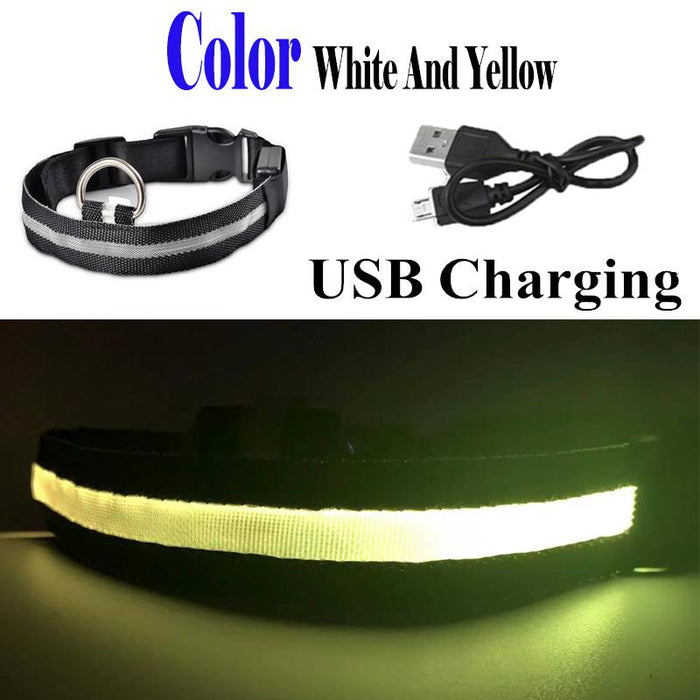 Pet Dog LED USB Rechargeable Collar