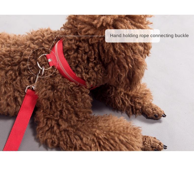 Pet Dog LED USB Rechargeable Collar