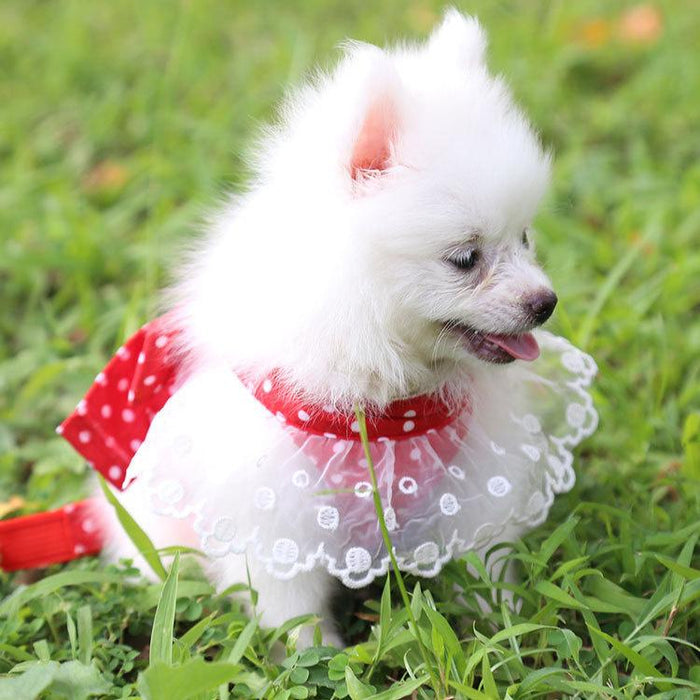 Cute Bow-knot Small Dog Harness Vest Leash Suit Pet Accessories