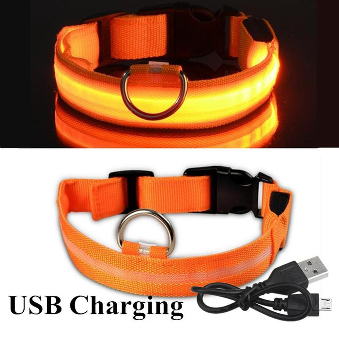 Pet Dog LED USB Rechargeable Collar