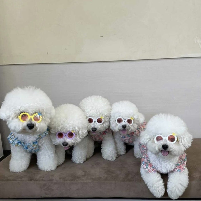 Creative Pet Dog Cat Cute Sunglasses Accessories