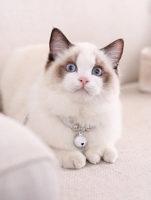 Cat Bell Collar Toy Adjustable Kitten Safety Necklace Popular Style
