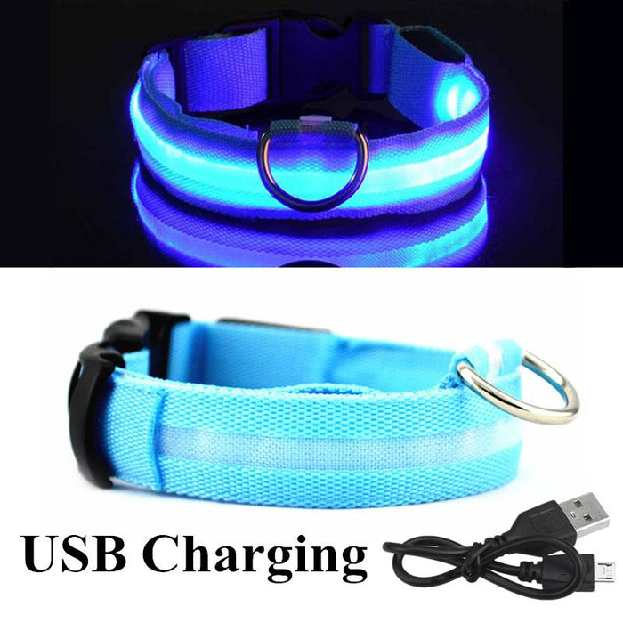 Pet Dog LED USB Rechargeable Collar