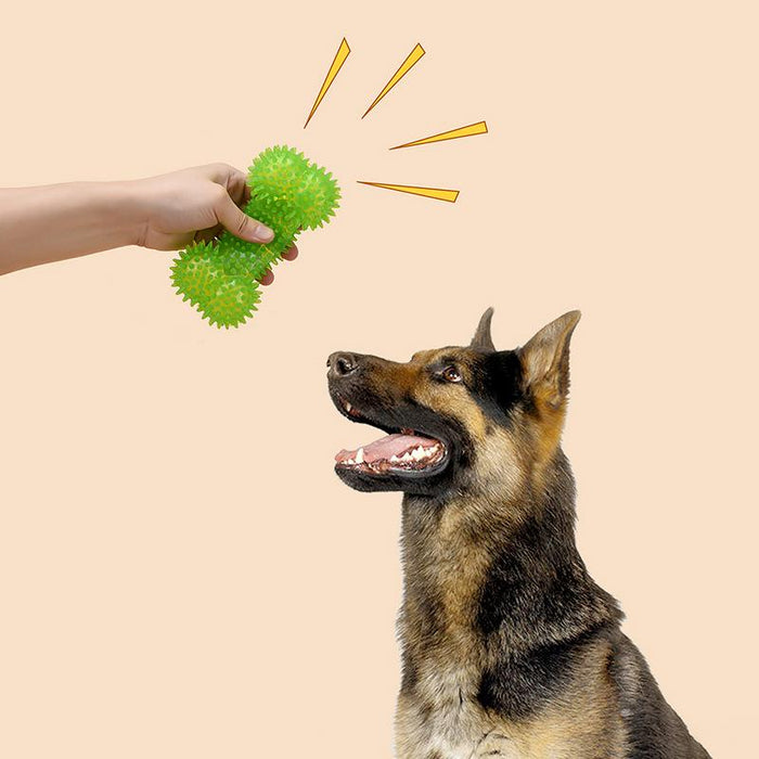 Pet Dog Toys Chewing Rubber Toys Fun Biting Bone Shapes