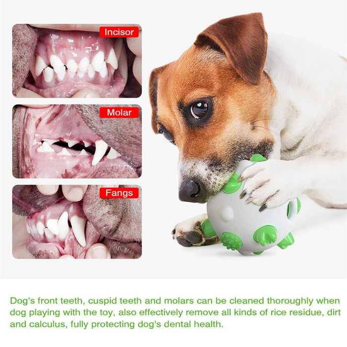 Dog Interactive Toys Anti-Bite Toothbrush Cleaning Toys