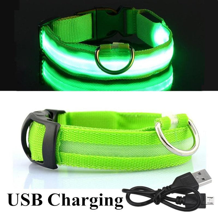 Pet Dog LED USB Rechargeable Collar