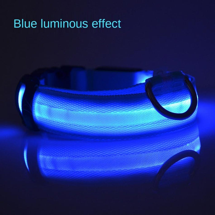 Pet Dog LED USB Rechargeable Collar