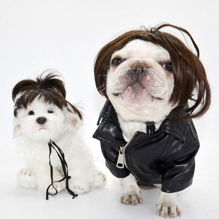 Funny Clothes For Cat Costume Hair Wig Cap Dog Costumes