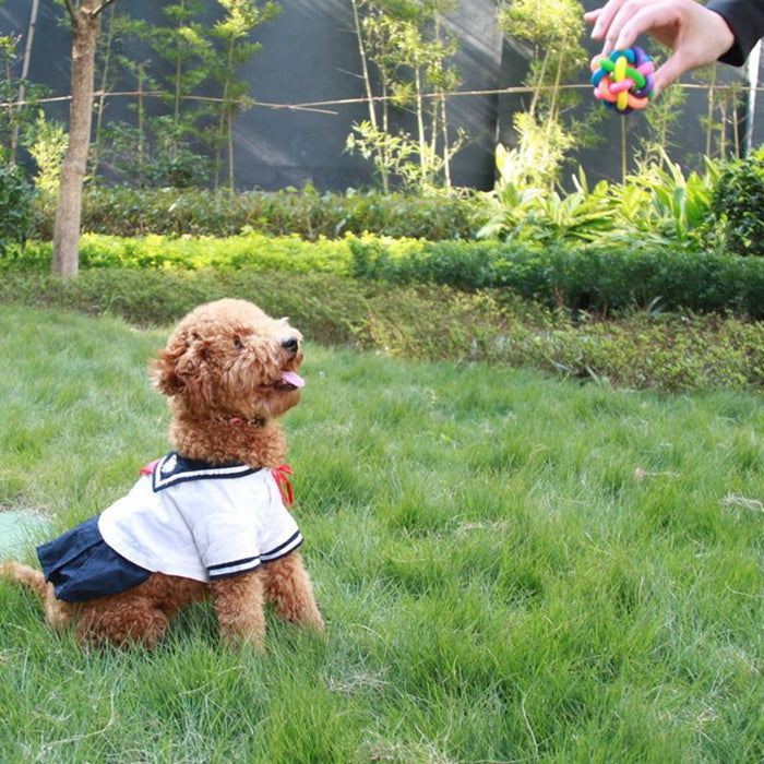 Large diameter about 9.5cm colorful rainbow pet kring ball dog toy