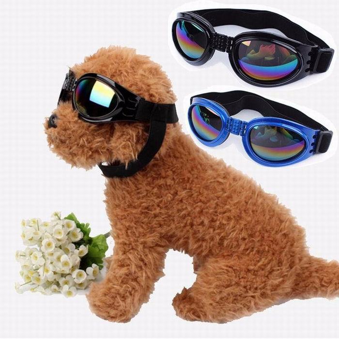 6 Colors Dog Glasses Glasses Outdoor Windproof Eye Protection