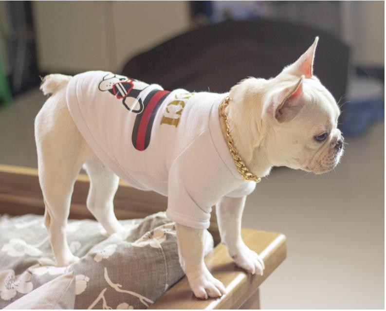 Fashion Dog Bully Gold Chain Collar