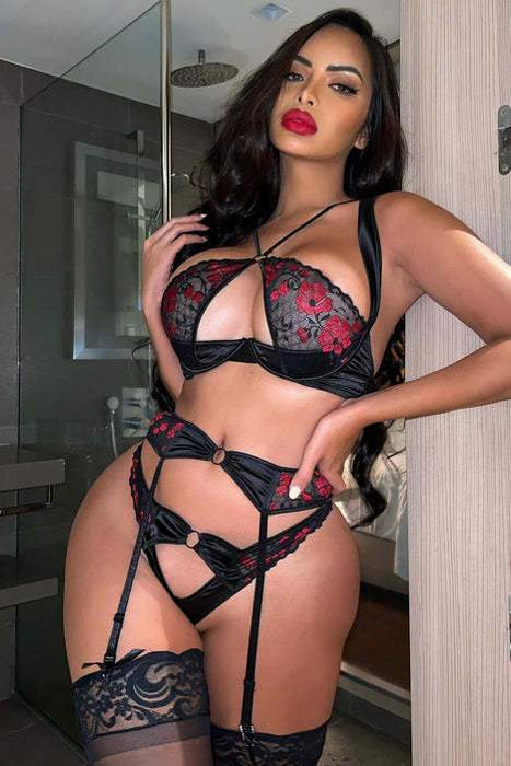 Women's Lace Mesh Embroidered Lingerie Pull Up Underwear Set