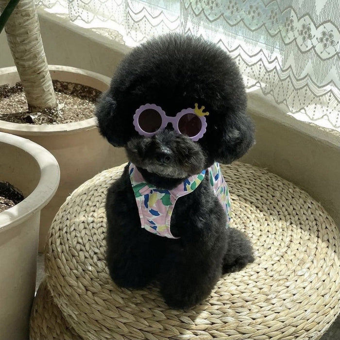 Creative Pet Dog Cat Cute Sunglasses Accessories