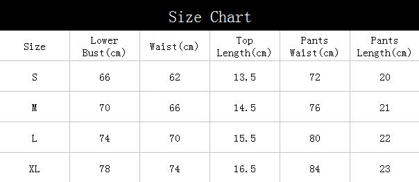 Women's Mesh Embroidered Underwear Sexy Garter Lingerie Set